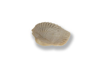 F 11104 02
<br/>
<br/>
<em></em>